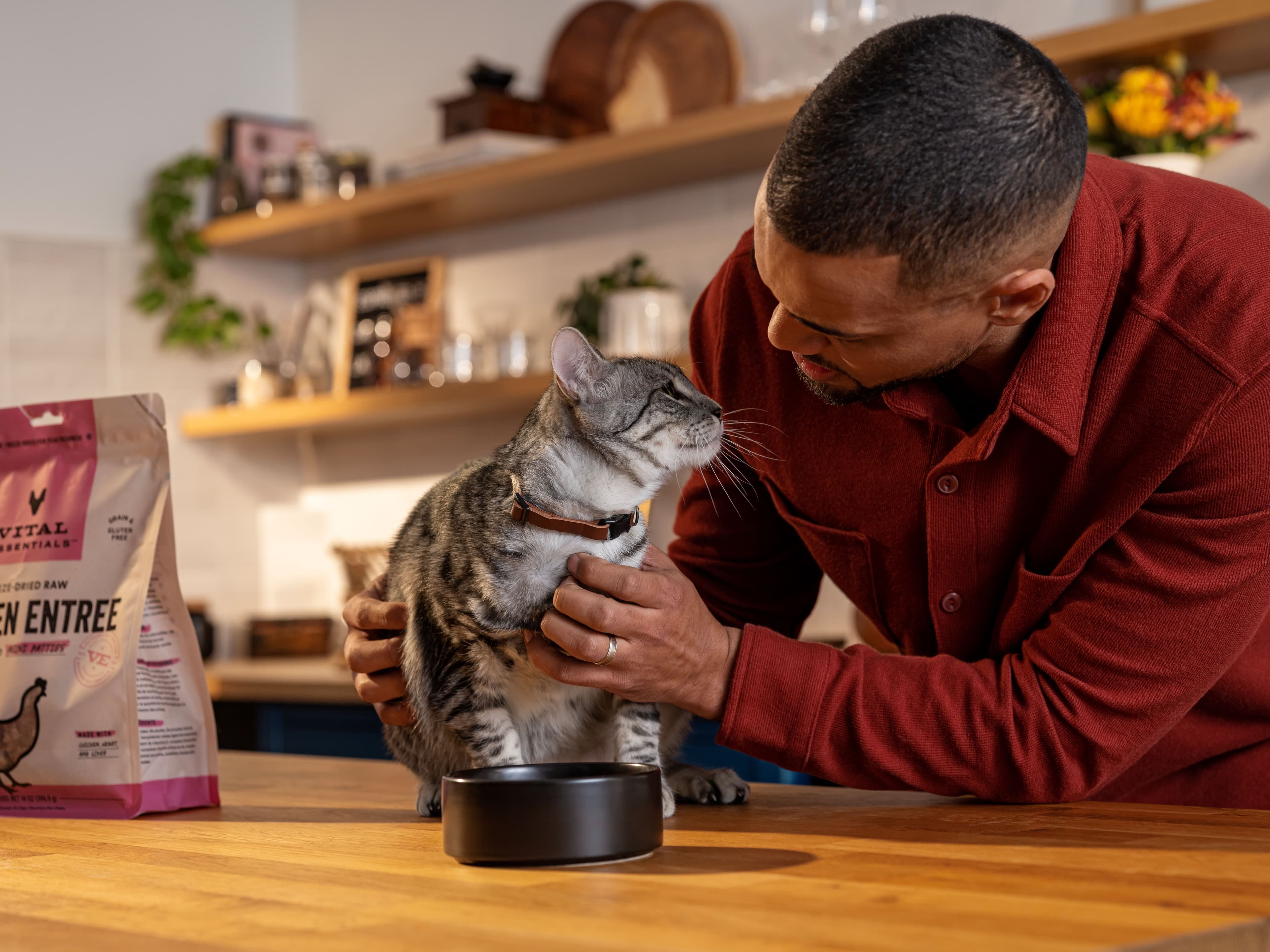 Beyond the Brush: How Raw Food Transforms Your Pet’s Skin & Coat