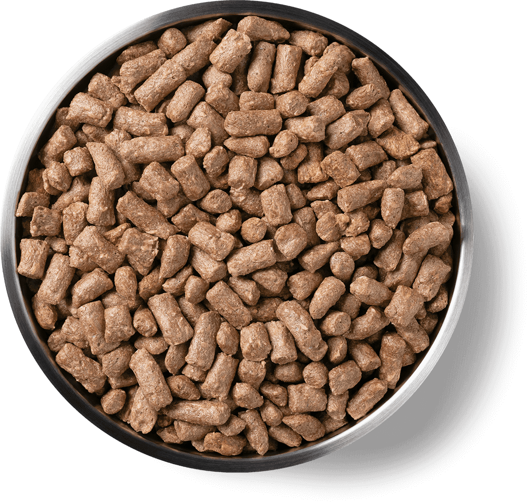 Freeze-Dried Chicken Entree Cat Food Mini Nibs Benefits