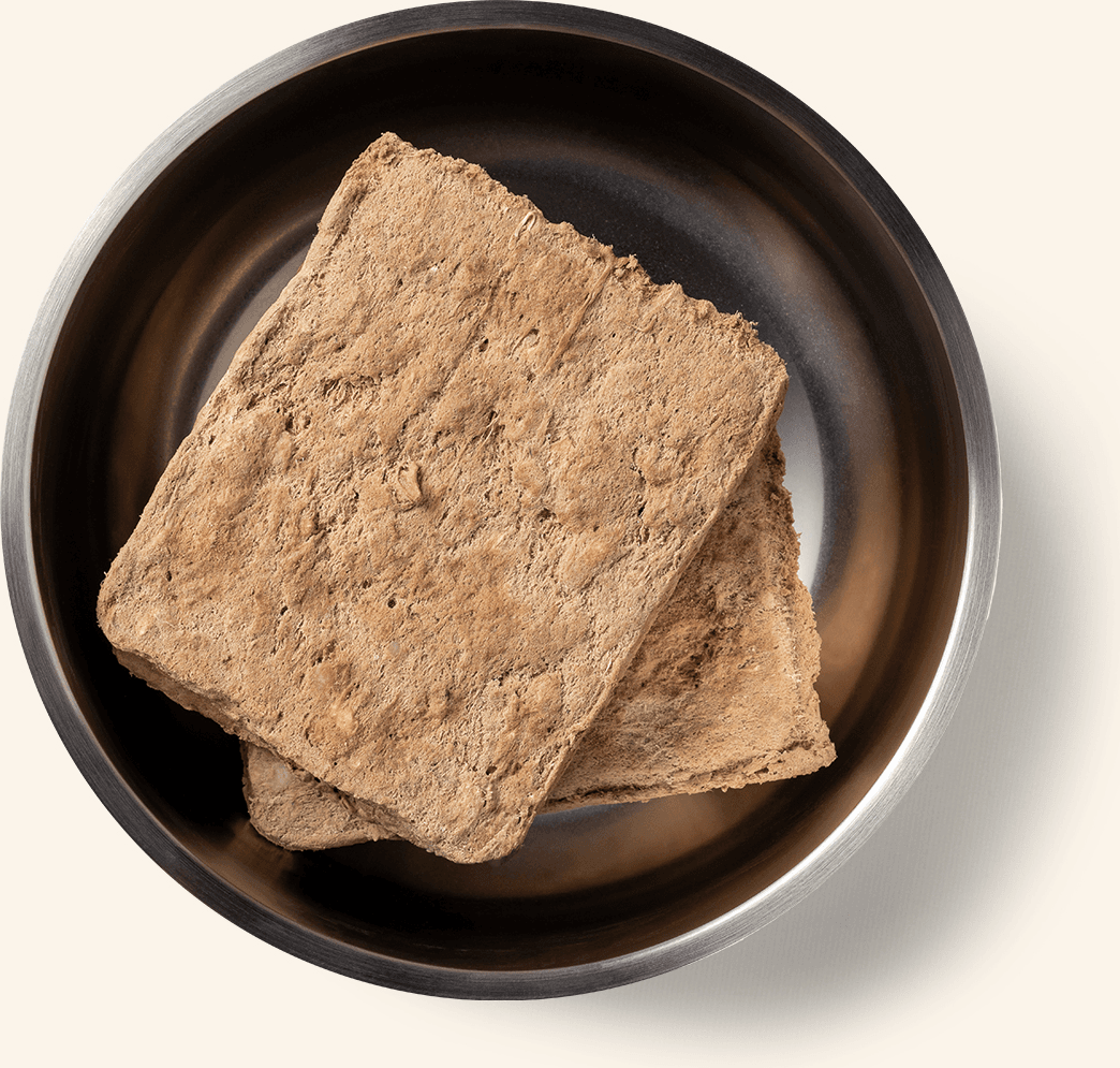 Freeze-Dried Beef Entree Dog Food Patties Benefits