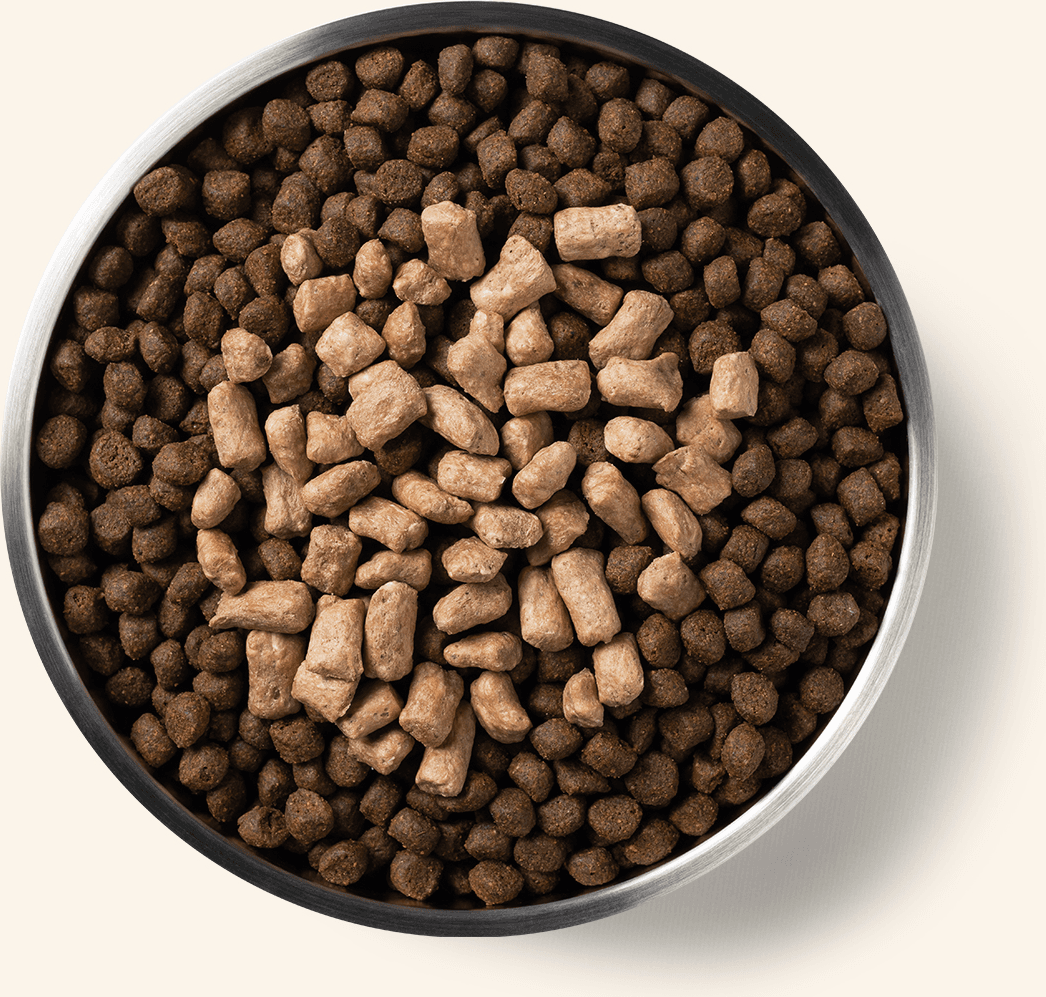 Freeze-Dried Protein Mix-In Rabbit Recipe Mini Nibs Topper for Dogs Benefits