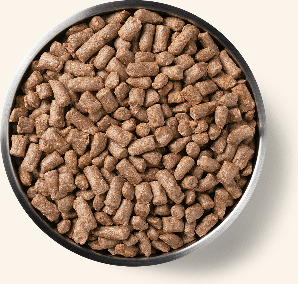Freeze-Dried Chicken Entree Dog Food Mini Nibs Benefits