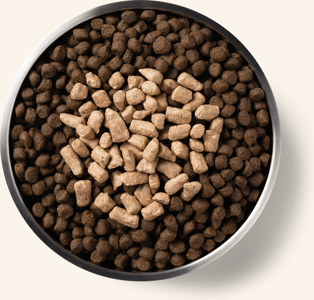 Freeze-Dried Protein Mix-In Turkey Recipe Mini Nibs Topper for Dogs Benefits