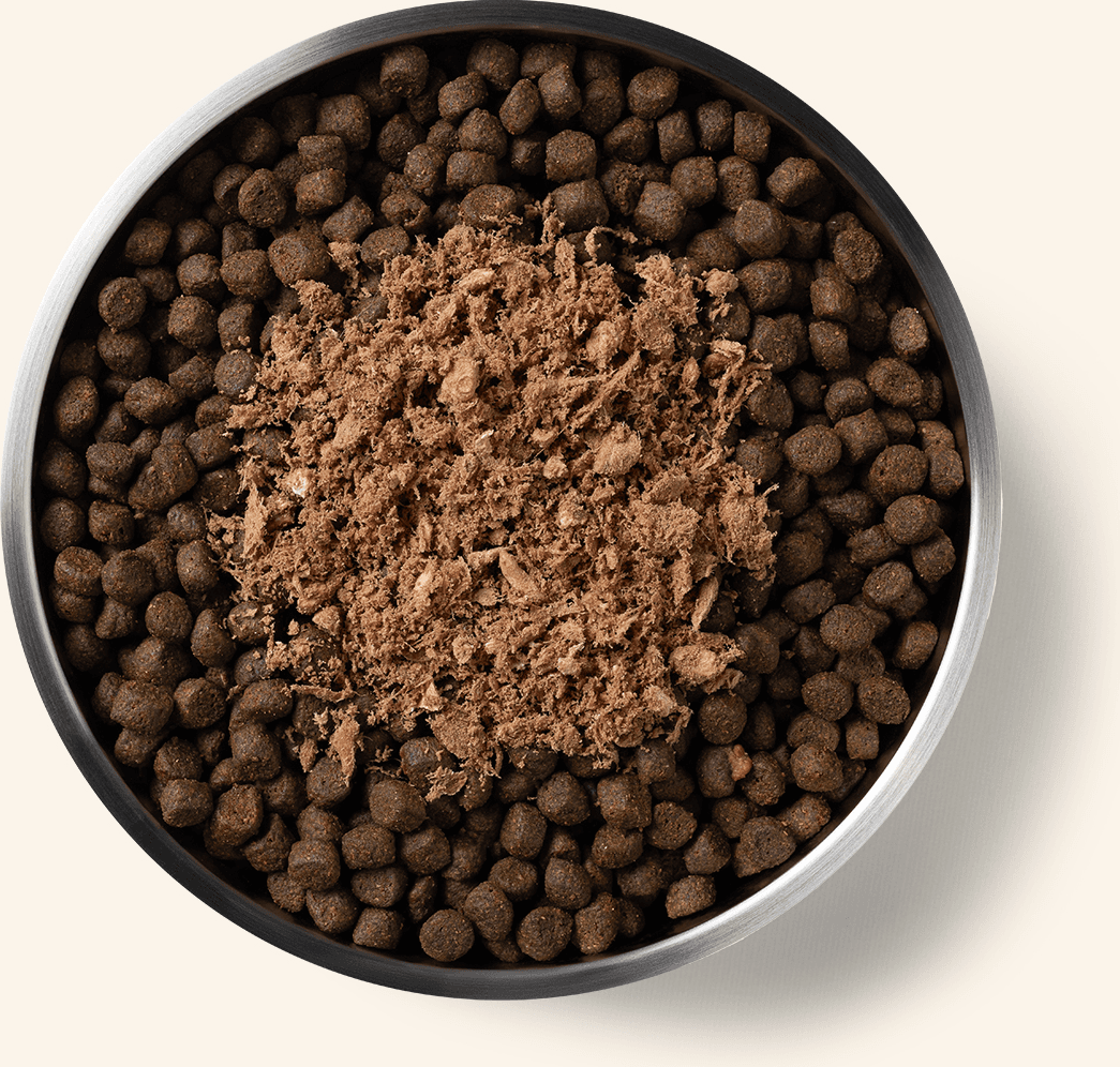 Freeze-Dried Protein Mix-In Beef Recipe Ground Topper for Dogs Benefits