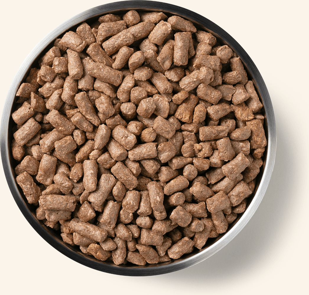 Freeze-Dried Duck Entree Dog Food Mini Nibs Benefits