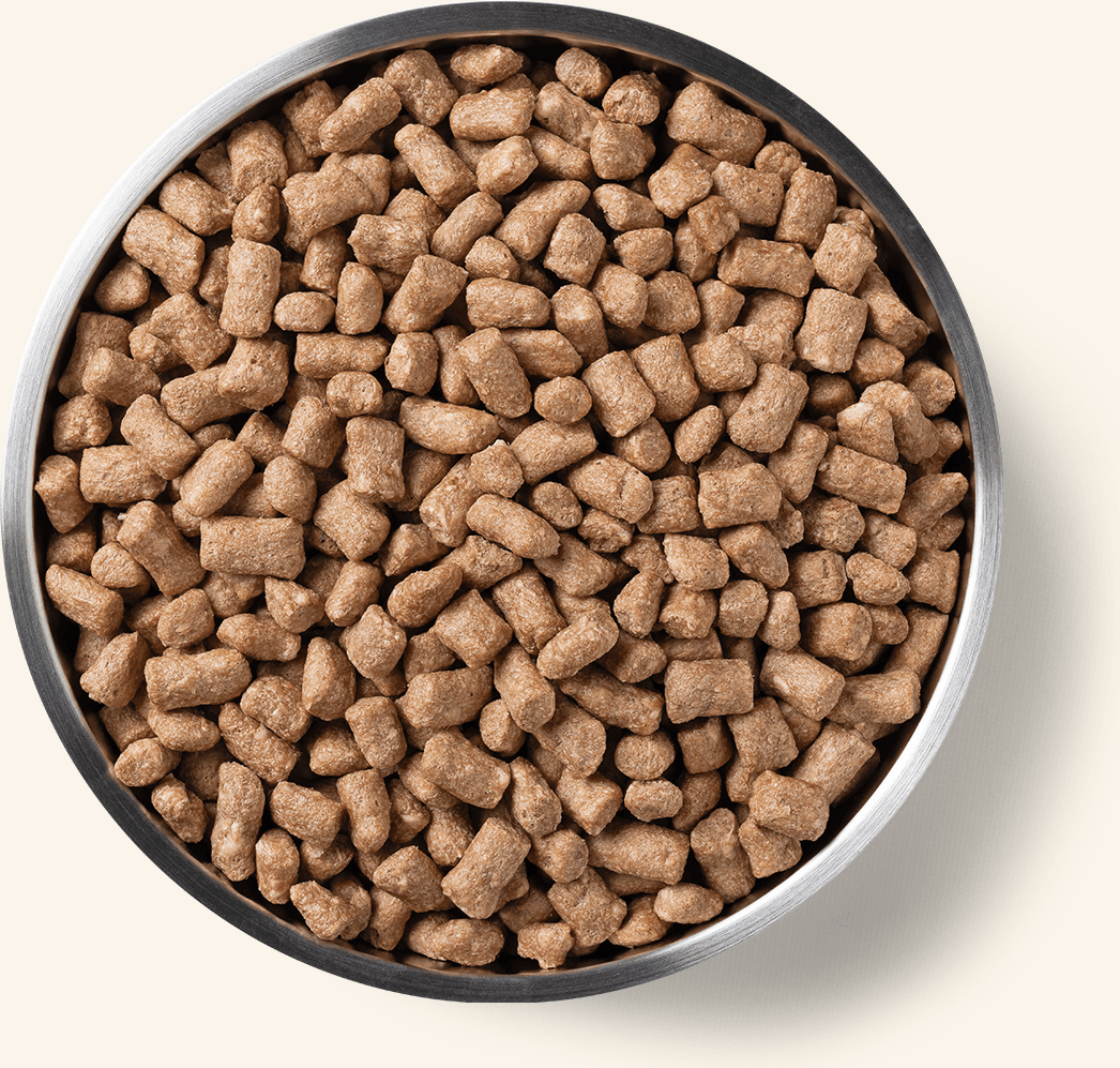 Freeze-Dried Rabbit Entree Dog Food Mini Nibs Benefits