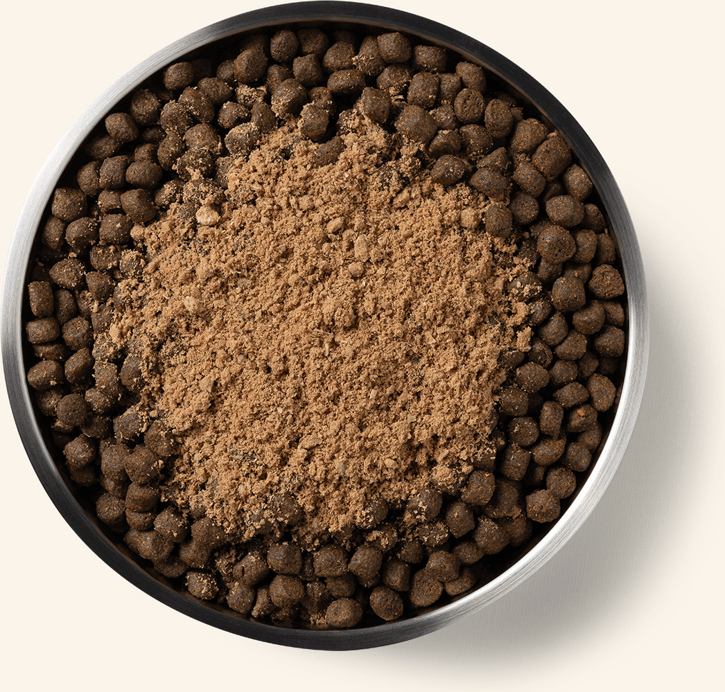 Freeze-Dried Protein Mix-In Turkey Recipe Ground Topper for Dogs Benefits