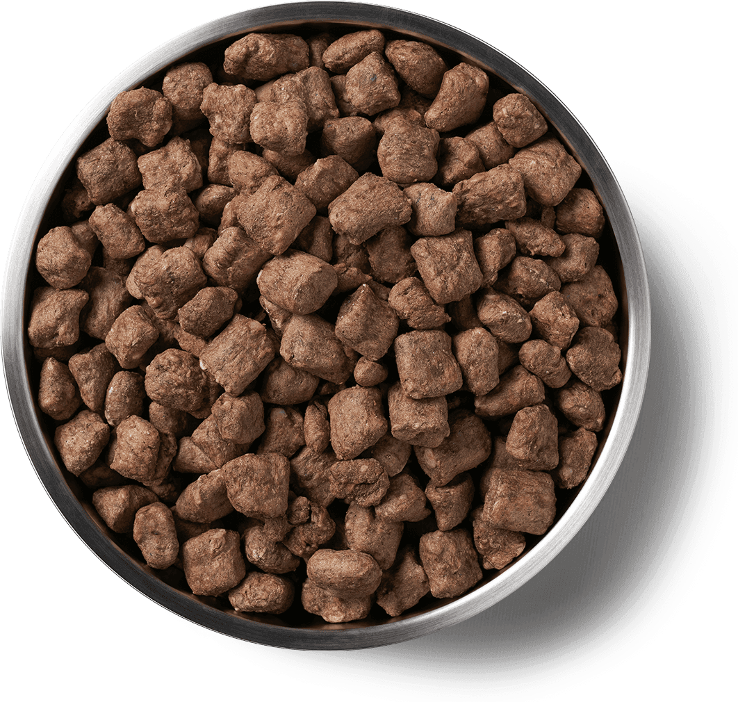 Freeze-Dried Beef Entree Dog Food Nibs Benefits