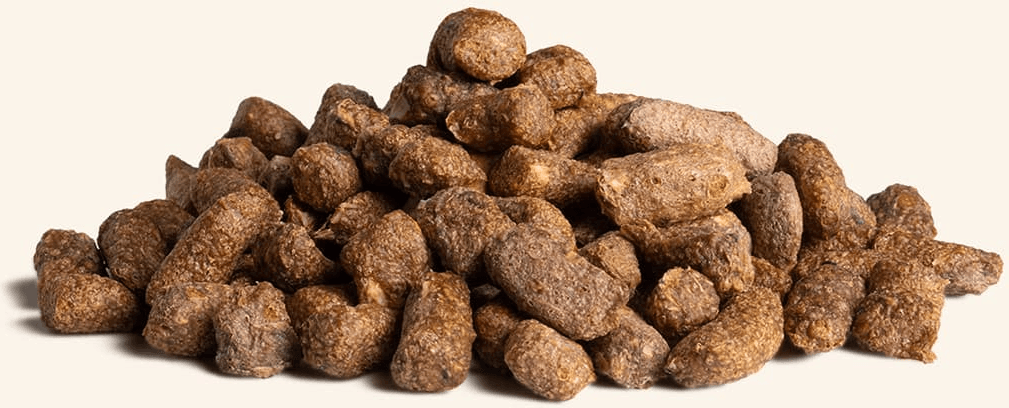 Freeze-Dried Ahi Tuna Bites Cat Treats Benefits
