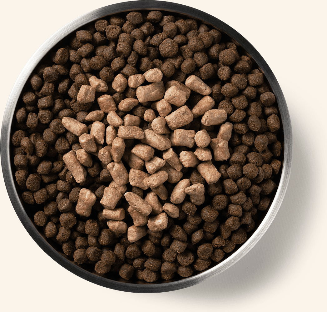 Freeze-Dried Protein Mix-In Chicken Recipe Mini Nibs Topper for Dogs Benefits