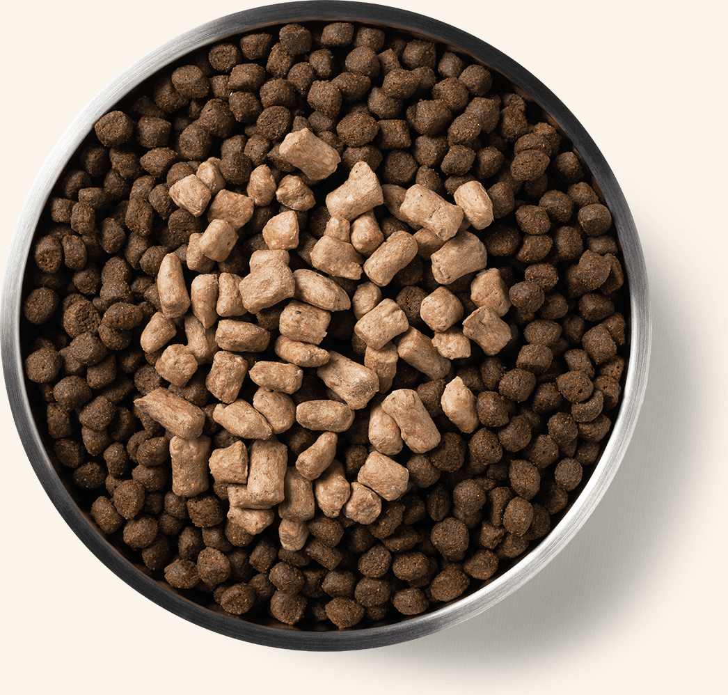 Freeze-Dried Protein Mix-In Duck Recipe Mini Nibs Topper for Dogs Benefits